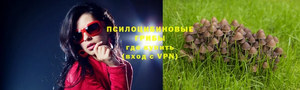 гидра Балахна