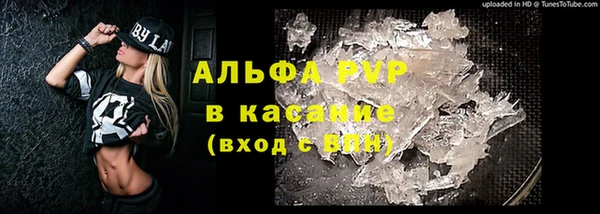 гидра Балахна