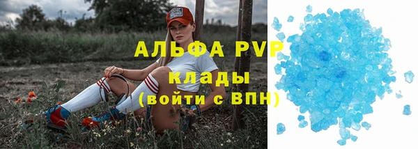 гидра Балахна