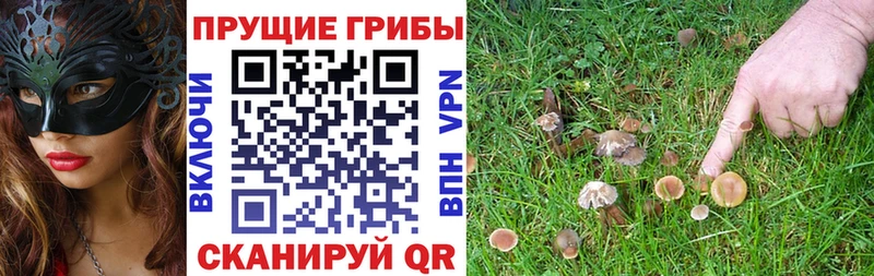 где купить наркоту  Кубинка  Галлюциногенные грибы GOLDEN TEACHER 